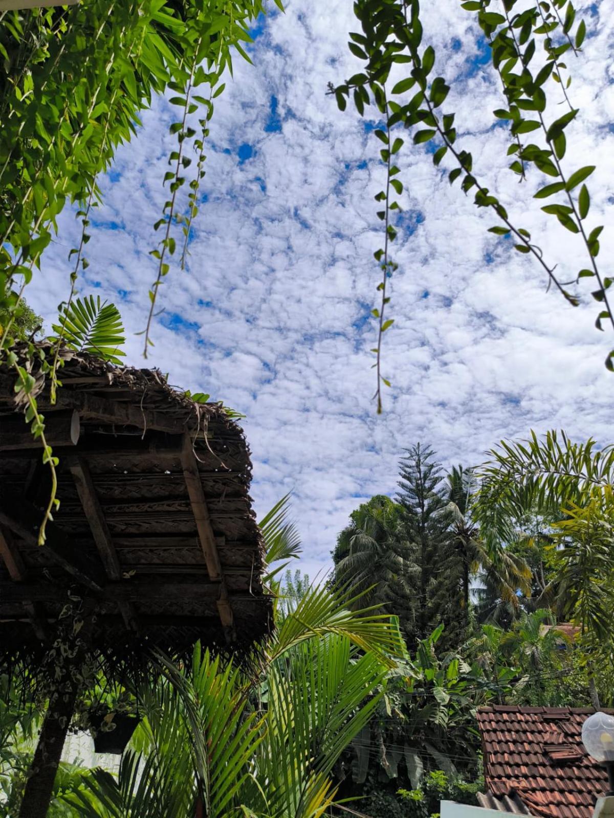 Hidden Villa Hikkaduwa Bagian luar foto